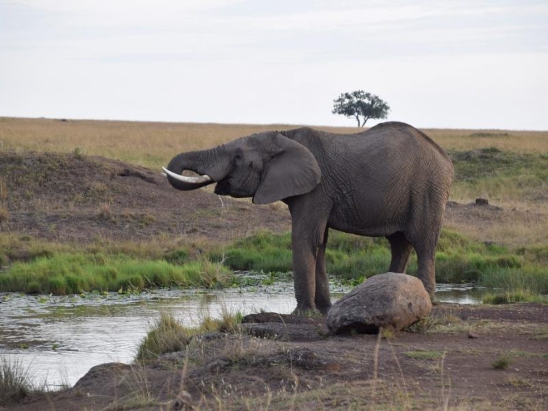 Memorable Experiences