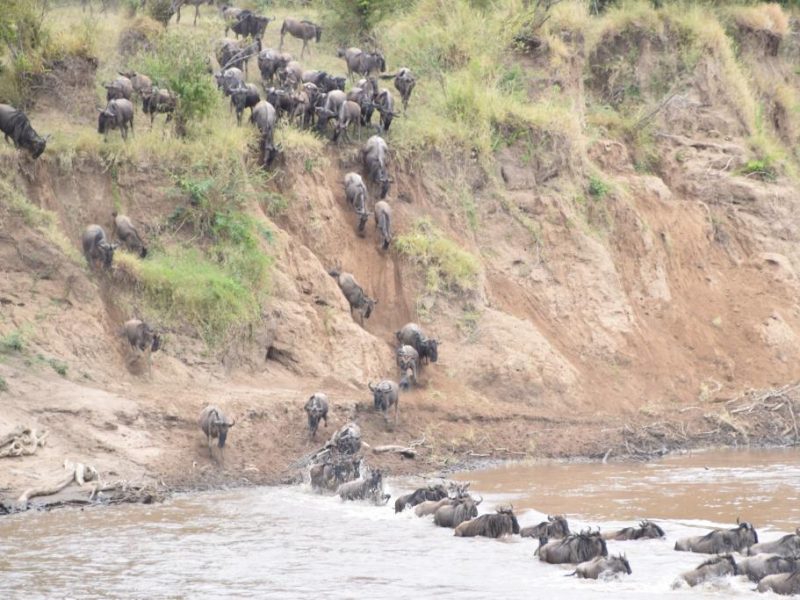 Memorable Experiences