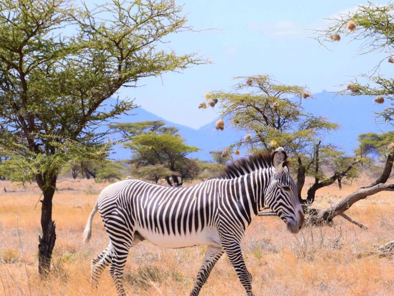 Memorable Experiences