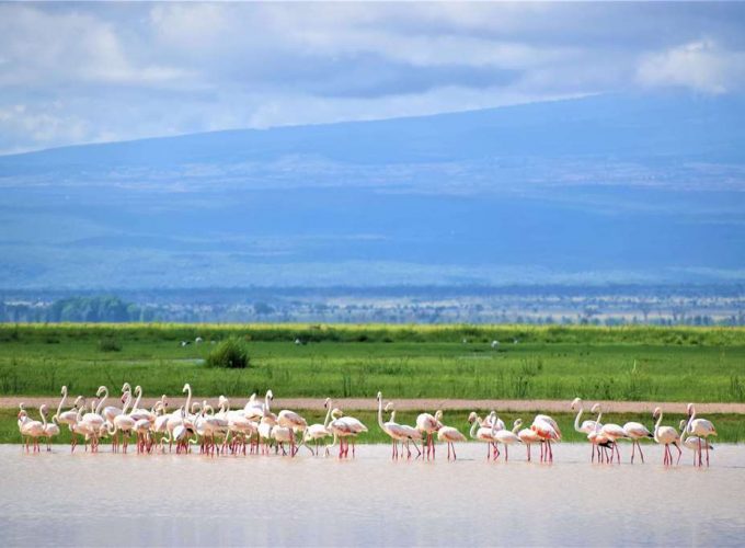 Memorable Experiences