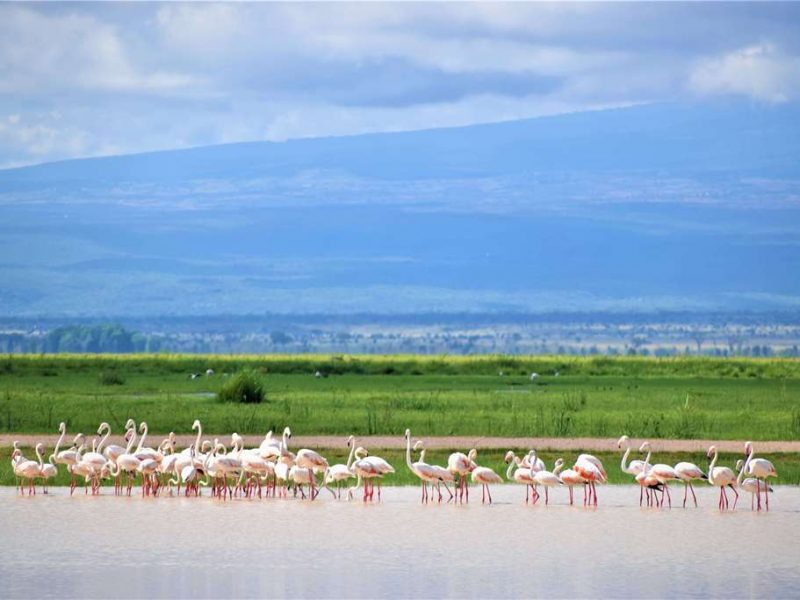 Memorable Experiences