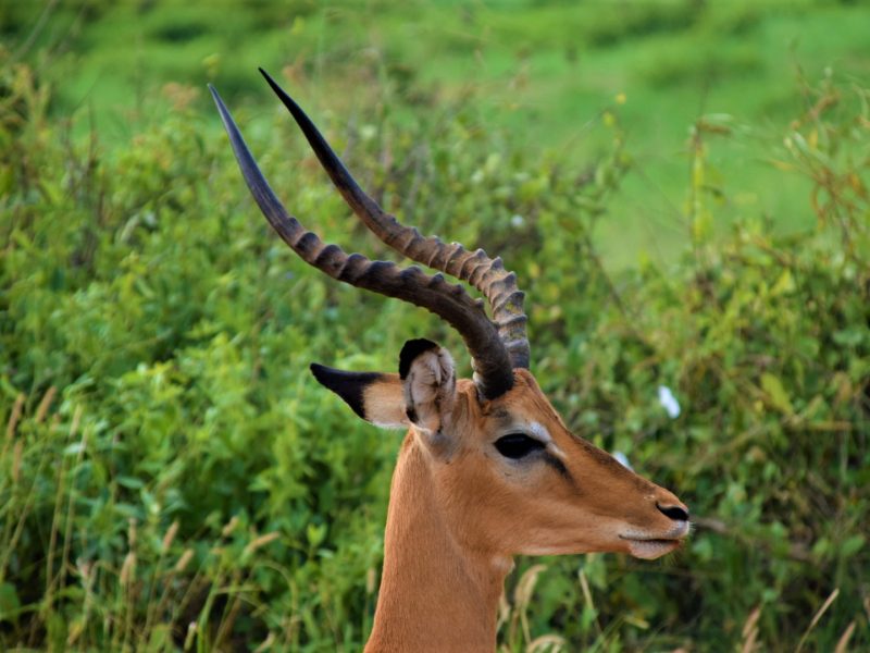 Memorable Experiences