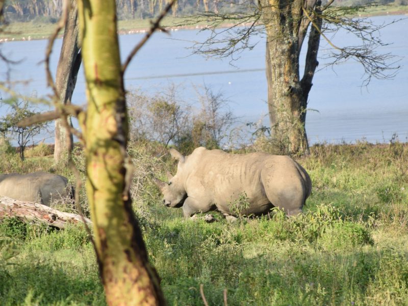 Memorable Experiences