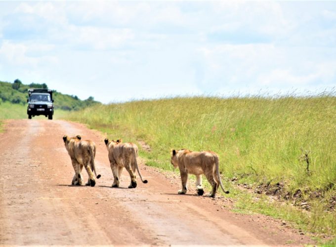 Memorable Experiences