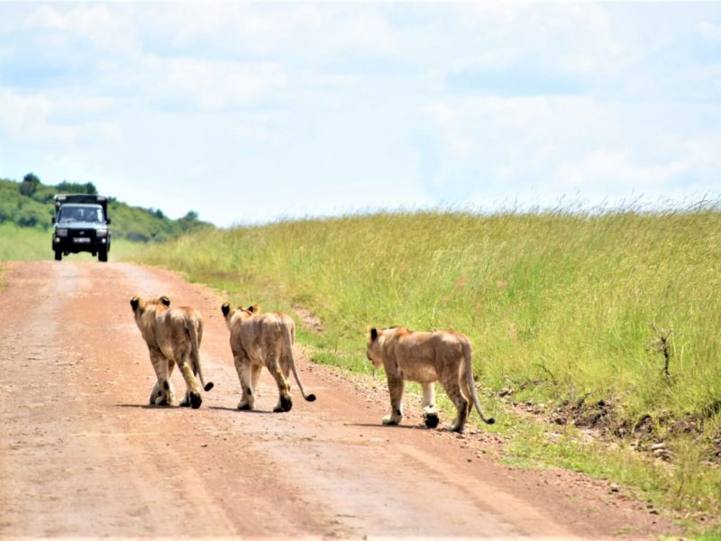 Memorable Experiences