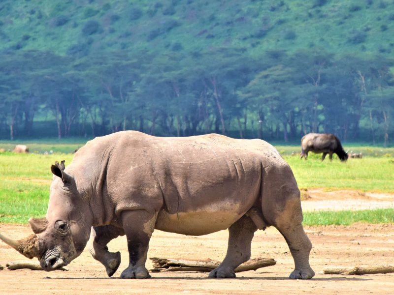 Memorable Experiences