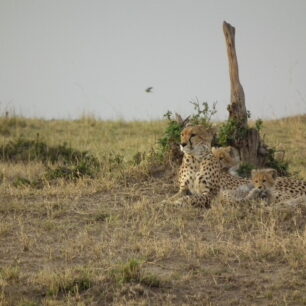 LAKE MBURO NATIONAL PARK