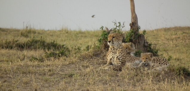LAKE MBURO NATIONAL PARK