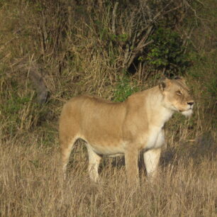 TSAVO WEST NATIONAL PARK