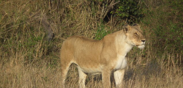 TSAVO WEST NATIONAL PARK