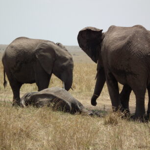 MERU NATIONAL PARK
