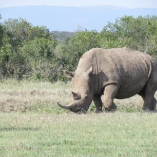 KATAVI NATIONAL PARK
