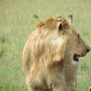 QUEEN ELIZABETH NATIONAL PARK