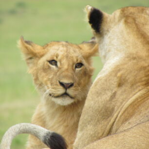 SAMBURU NATIONAL RESERVE