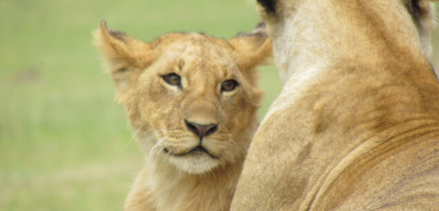 SAMBURU NATIONAL RESERVE