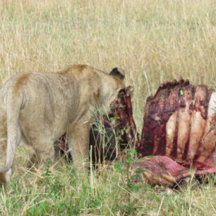 TSAVO EAST NATIONAL PARK