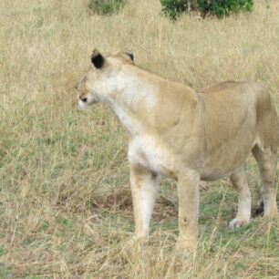 TARANGIRE NATIONAL PARK