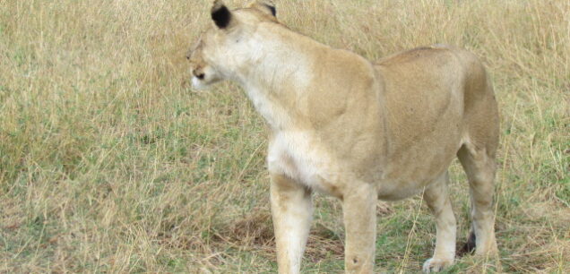 TARANGIRE NATIONAL PARK