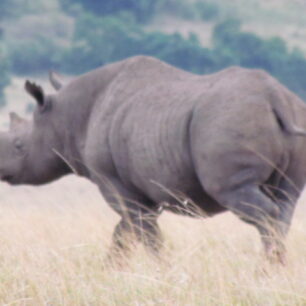 NYERERE NATIONAL PARK