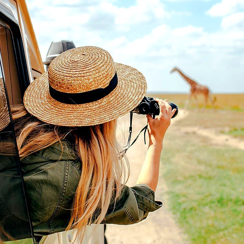 Maasai Mara plains with wildlife and dramatic evening light